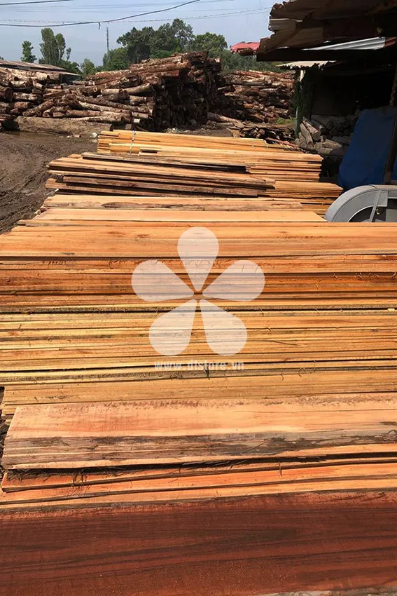 Bamboo Pine wood DTGNL08 - Origin Vietnam. Variety Bamboo pine wood. - Image 7