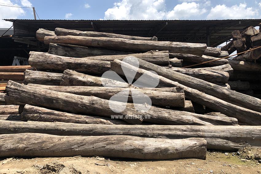 Gỗ Chiêu Liêu DTGNL04 - Nguồn gốc Campuchia Chủng loại gỗ Chiêu Liêu