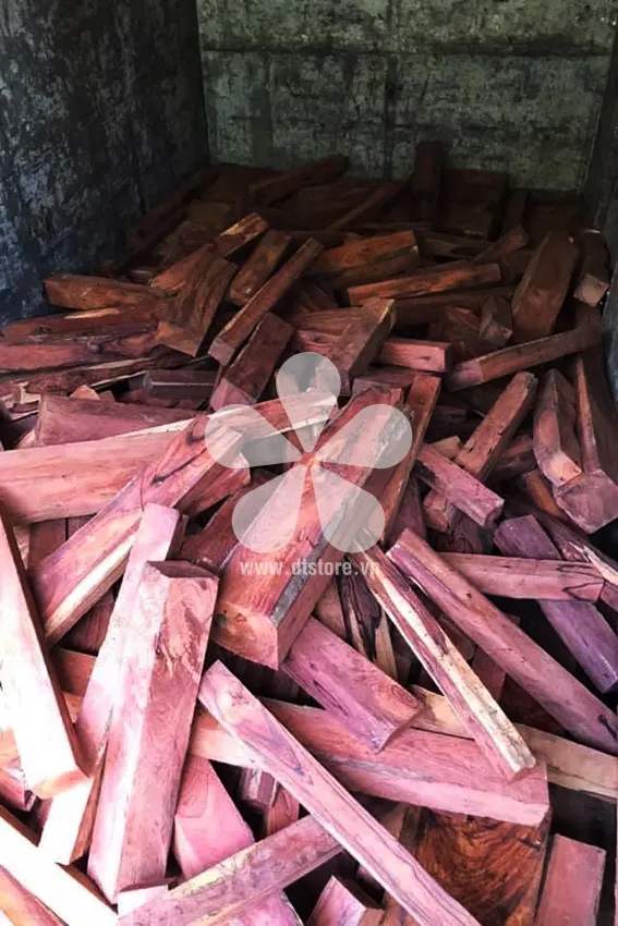 Rosewood DTGNL01 - Origin Cambodia. Variety Rosewood. - Image 3