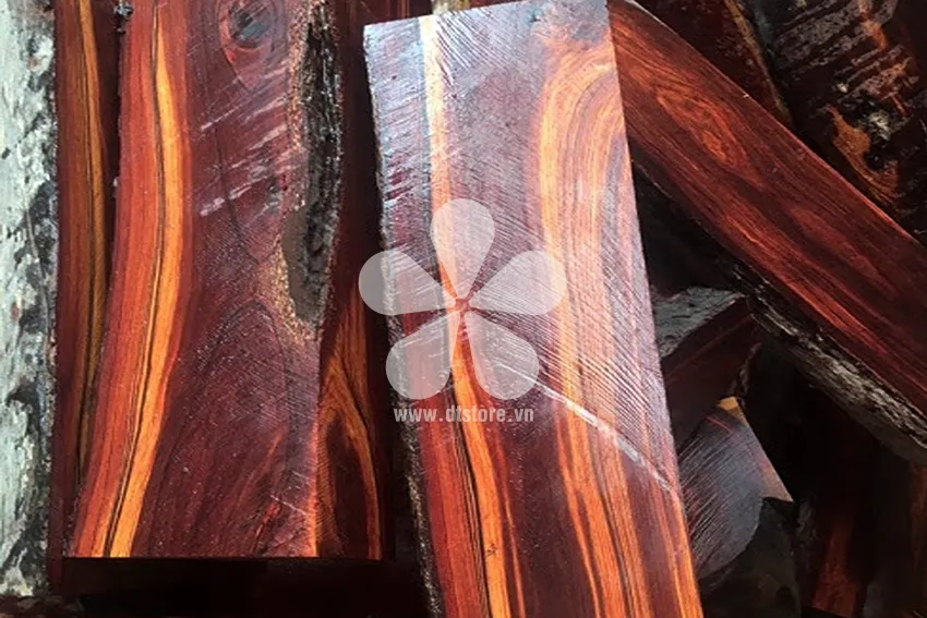 Rosewood DTGNL01 - Origin Cambodia. Variety Rosewood. - Image 6